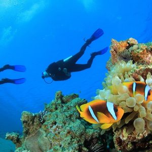 kas-dalis-turu-1 kas-dalis-turu-1